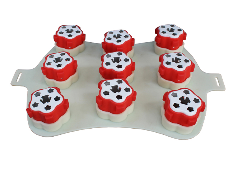 梅花灸鼎腰背屁股灸