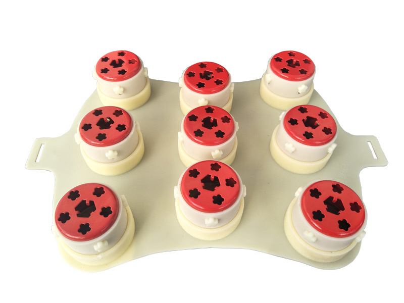 梅花灸盘腰背屁股灸