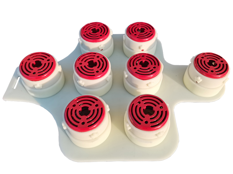 梅花灸鼎会阴私密灸