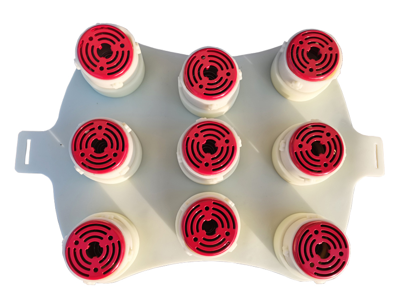 梅花灸鼎腰背屁股灸